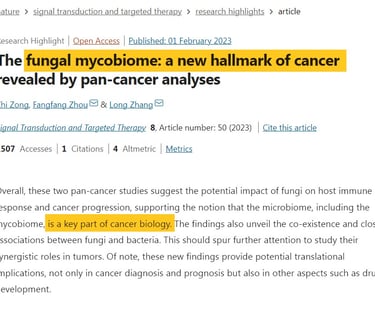 Fungal mycobiome - a hallmark of cancer?