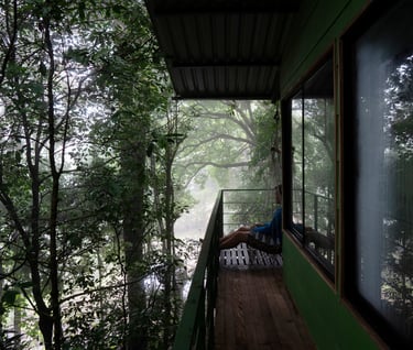 a person sitting on a porch with Alzheimer's or dementia memory loss