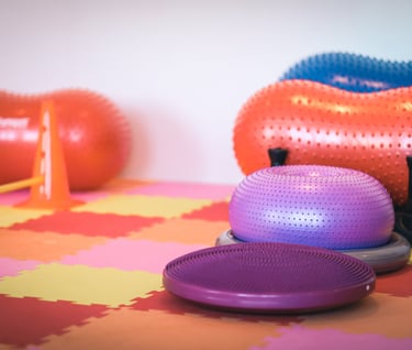 Šunų fitneso ir reabilitacijos įranga - balansiniai diskai ir kamuoliai