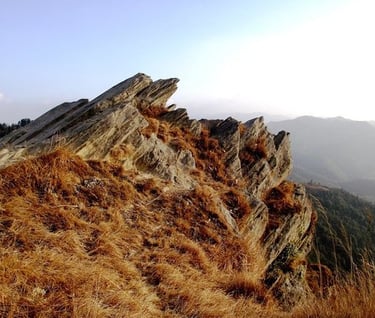 top homestay in mukteshwar