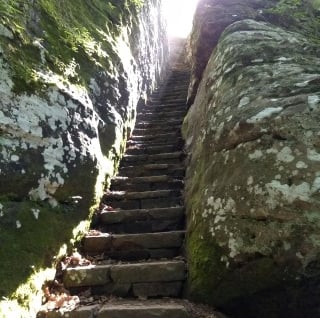 Worn stairs on a trail in a National Forest.