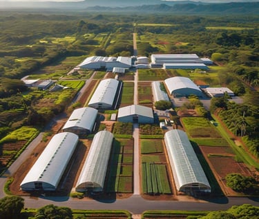Innovación agrícola fertilagro de colombia