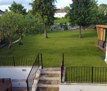 Photo of new lawn in garden in Bristol
