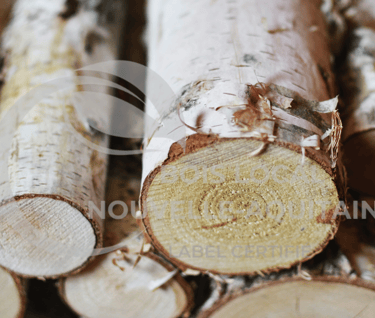 une pile de bûches avec un sol en bois
