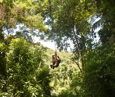 Zipline with Jaguar Paw Cave and Jungle Expedition