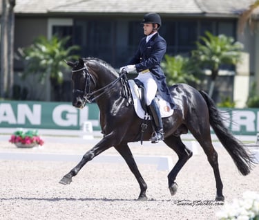 Rick Rockefeller-Silvia with the black stallion, Rubinero, Global Dressage Festival, Wellington, FL.
