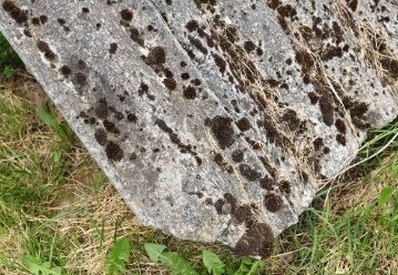 Asbestos Cement Removal Cost