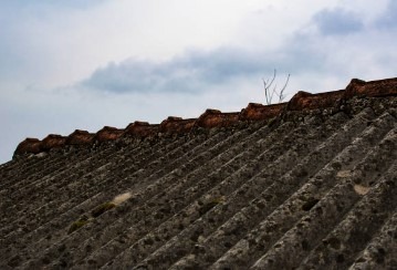 Asbestos Roof Removal Cost