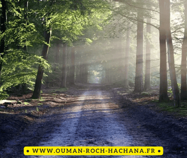 Génération Breslev- www.ouman-roch-hachana.fr