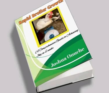 Ebook cover
