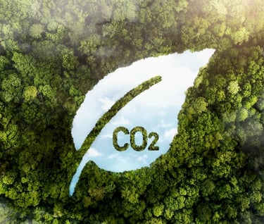 carbon-travel