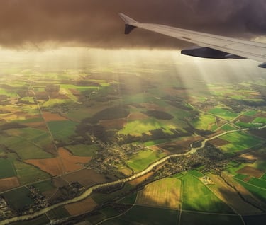bizumi travel