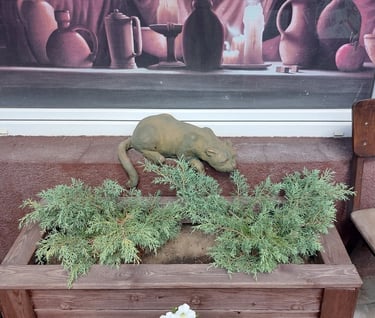 Cat statue at Sportivnaya 4A