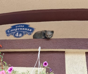 Cat statue at Sportivnaya 4A