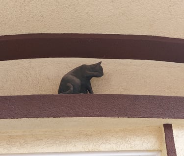 Cat statue at Sportivnaya 4A