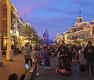 Disney Magic Kingdom in Orlando - Cinderella Castle