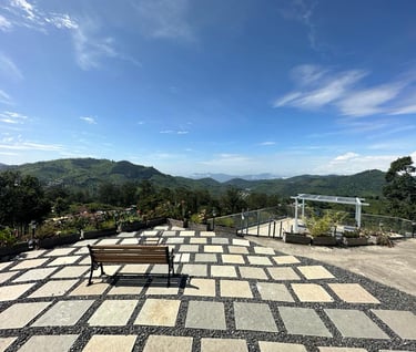 View from SilverOak