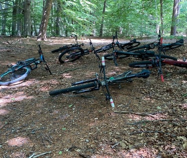 a bunch of bikes parked in a wooded area