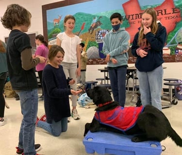 a group of students smile while training a service dog