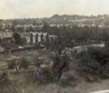 Pigs Hill and Charity Farm Allotments, Tunbridge Wells TN1 2LE