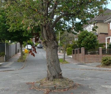 Lipscombe Road, Tunbridge Wells, Kent  TN2 3SL