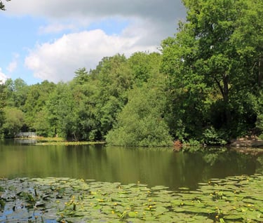 Sherwood Lake, Tunbridge Wells TN2 3LZ