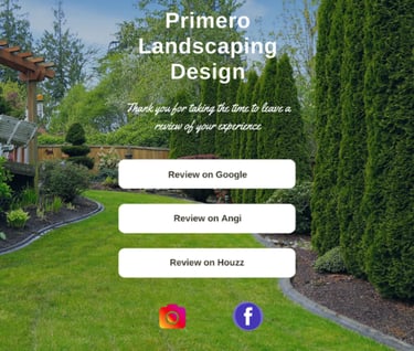 Dani Painter, Web Designer, rank higher in search engines with ReviewRise