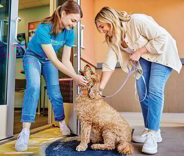 A smiling dog day care worker greets a goldendoodle and its owner at the entrance.