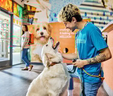 a man is petting a dog in a store