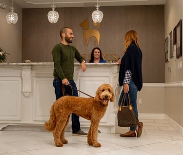 A couple checking their Goldendoodle dog into a luxury pet resort and boarding facility.