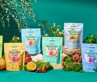 a variety of food items including a variety of foods