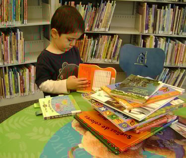 reading public library books