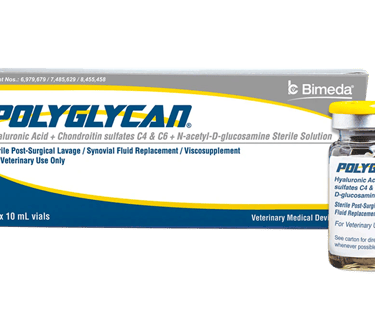 polyglycan fraco bimeda y mital pharma