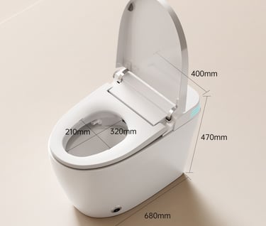 Dimension of smart toilet bowl