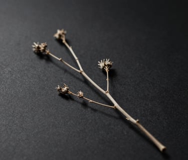 A single, minimalist dried botanical branch casting a long, elegant shadow on a dark matte surface, using #000000 and #B5A591 for a refined, modern aesthetic.