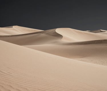 A refined, artistic landscape detail showing rolling dunes under a moonlit sky. The sand is a soft beige (#B5A591) and the shadows are a deep black (#000000). The composition is minimalist and elegant, focusing on the curve of the land.