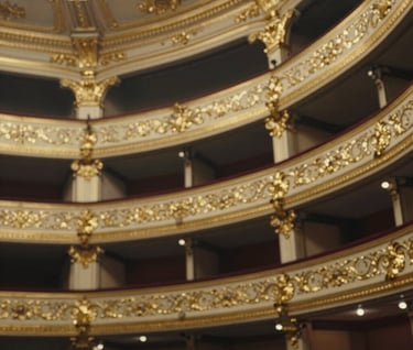 An abstract, artistic composition of gold-leafed architectural details from a classic Italian opera house. The style is sophisticated, using high contrast between the #262626 shadows and the bright #DDCBC0 textures of the ornate carvings.