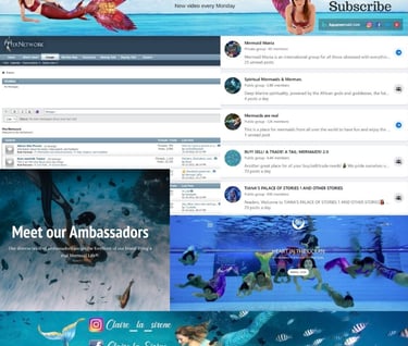 screenshots of various mermaid resources on the internet