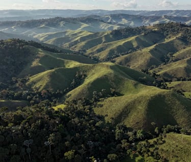 A sweeping aerial view of the lush, rolling hills of the Vale do Aço, South American / Brazilian topography, captured in a cinematic style with deep Dark Forest Green forests and misty Pale Sage Green valleys.