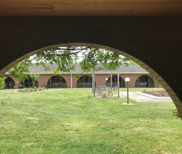 Courtyard with lawn