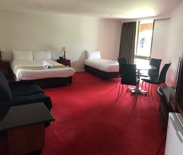 Pet friendly room