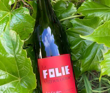 Red wine AOP Faugères