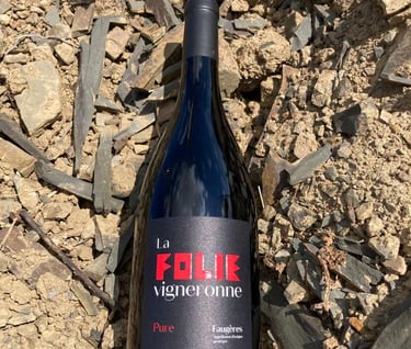 Great Red wine AOP Faugères