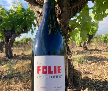 Red wine AOP Faugères