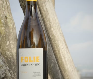 White wine IGP Côtes de Thongue