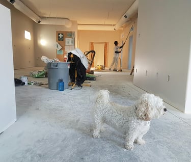 Builders and painters