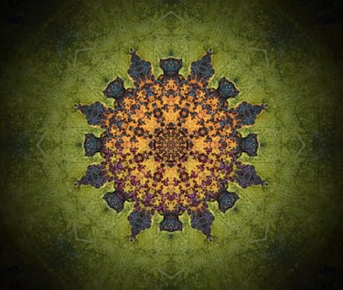 regresijas terapija cena