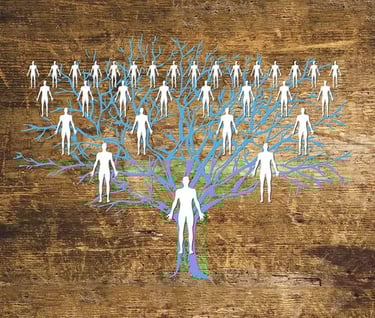 sistēmiskie sakārtojumi