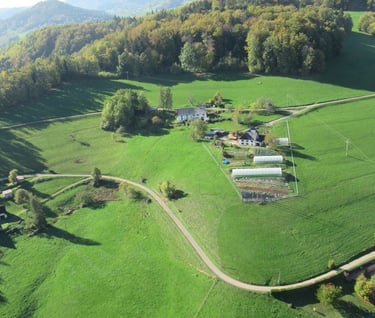 ferme knolpré fréland Bio
