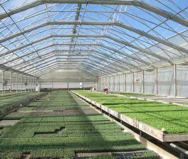 We build your Greenhouse Dream